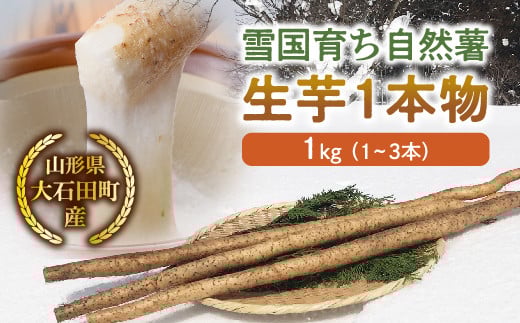 本物の粘りと香りの栽培自然薯　1.2ｋｇ前後（1本物が1本から2本）　 本物の粘りと香りの栽培自然薯 1.2ｋｇ前後（1本物が1本