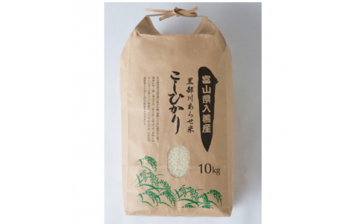 yxRPz삠点ā@10kgy1235326z