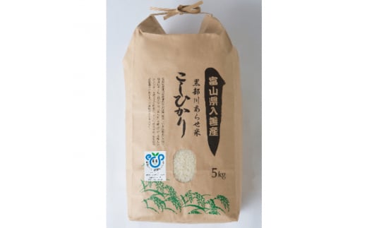 yxRPz삠点 5kgy1235330z