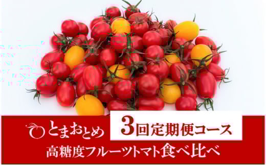 yȖ،szy  3 z Ȗ، Y x t[cg}g hƂ܂Ƃ߁h Hה 1kg×3 g}g JLk}t@[ ACR teBJ A CG[ACR s@2026