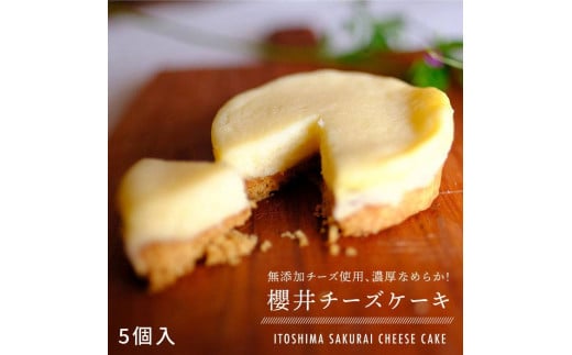 無添加 チーズ の櫻井 チーズケーキ 5個 セット Ata002 糸島市糸島市 ふるさと納税 ふるさとチョイス