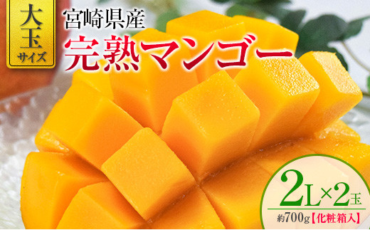 宮崎県産 完熟マンゴー 2L×2玉 化粧箱入り ※2023年4月中旬から順次出荷