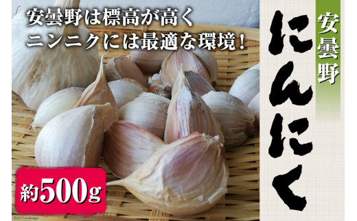 産地直送】安曇野 にんにく（ばら）約500g [安曇野ベジタブル 長野県 池田町 48110409] - 長野県池田町｜ふるさとチョイス -  ふるさと納税サイト