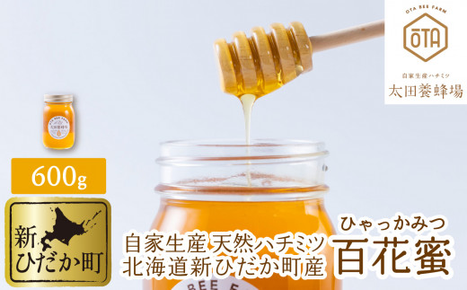 北海道産 天然 はちみつ 百花蜜 600g 国産 純粋 蜂蜜 ハチミツ