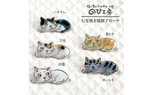 値下げ 七宝焼焼き 宝石箱 白花詰 正方形 桐箱入 七宝焼きの通販・価格