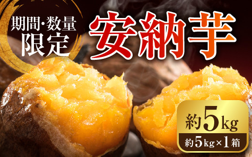 安納芋 5kgの人気商品 通販 価格比較 価格 Com