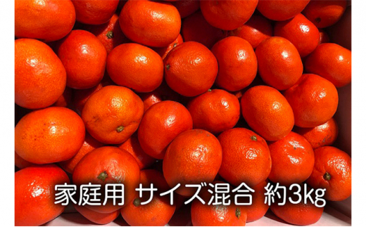 [№5341-0293]家庭用　小原紅早生みかん（サイズ混合　約3kg）