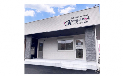 y򕌌Rszg~Ozep1000~×10 [No.354] ^ ybg  Vv[ Jbg WOW[ 򕌌