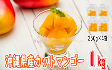 沖縄県産 アップルマンゴーの人気商品・通販・価格比較 - 価格.com