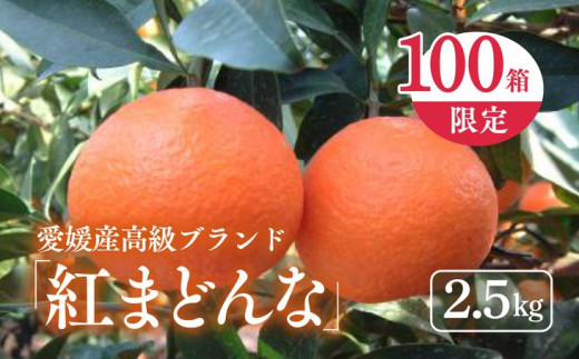 限定100ケース！紅まどんな（生果2.5kg） ※離島への配送不可 ※2023年12