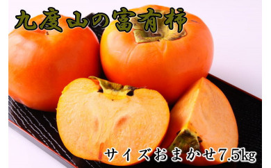 富有柿 - 柿の人気商品・通販・価格比較 - 価格.com