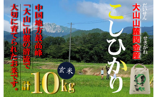 令和7年産米】 【数量限定】 大山山麓関金産 玄米 コシヒカリ