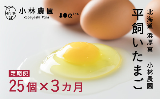 全3回定期便】こだわりの無投薬・平飼い有精卵 25個《厚真町》【テンアール株式会社】 たまご 卵 鶏卵 玉子 生卵 平飼い 北海道 定期便  [AXAN004] - 北海道厚真町｜ふるさとチョイス - ふるさと納税サイト