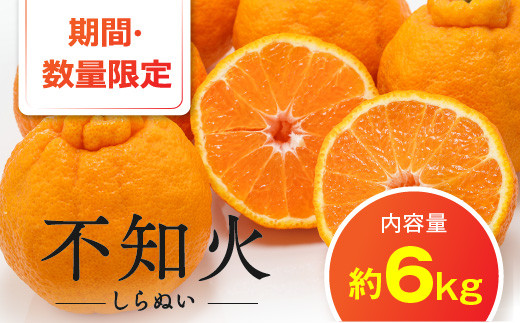 A537 R3 期間 数量限定 不知火 しらぬい 約6kg フルーツ 果物 みかん 宮崎県都農町 ふるさと納税 ふるさとチョイス