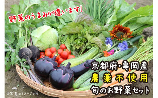 京都府・亀岡産 無農薬・自然栽培で育てた体も心も喜ぶ、かたもと