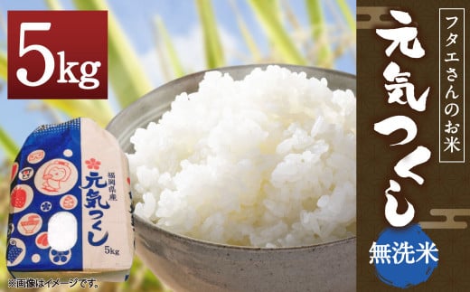 フタエさんのお米 元気つくし 5kg 無洗米 うるち米 ごはん 白米