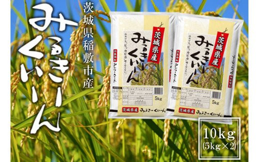【令和5年産】特別栽培米 ミルキークイーン 10kg (5kg×2) [0906