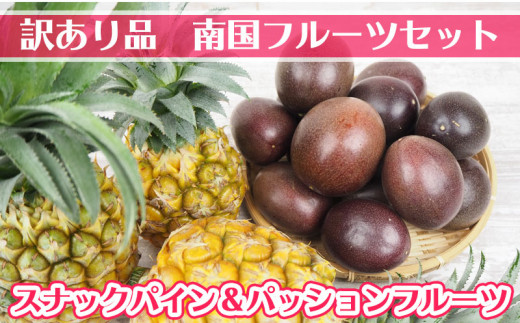 訳あり品 南国フルーツセット スナックパイン パッションフルーツ 沖縄県宜野座村 ふるさと納税 ふるさとチョイス