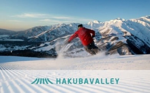 HAKUBA VALLEY 10スキー場共通1日券（2枚） - 長野県小谷村