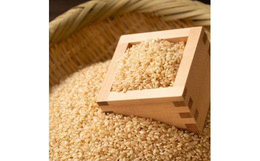 【先行予約】★令和6年10月から配送予定★甲佐町　上田さんが育てた美味しいお米（玄米）1０ｋｇ