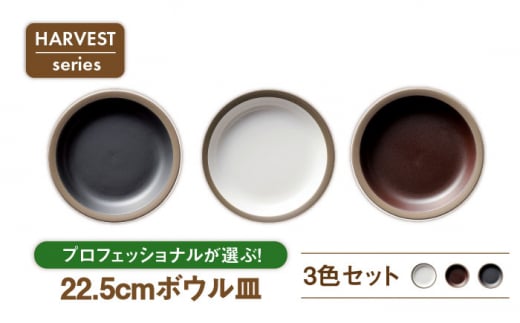 【美濃焼】HARVEST 22.5cmカレースパゲティボウル 3色セット