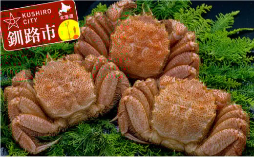 ykCHszkCY {CъI 3 1.0kg ӂ邳Ɣ[  I F4F-5332