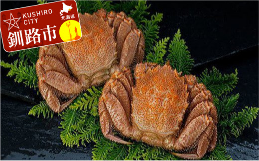 ykCHszkCY{Cт 2 1.0kg ӂ邳Ɣ[ I F4F-0691