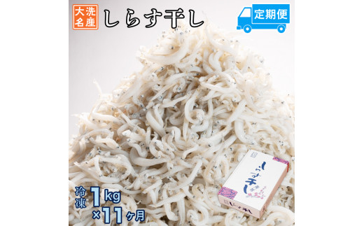 y錧z 炷 (1kg×11) VR ӂ  Y 炷 VX    H