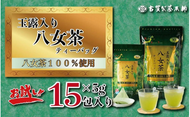 人気 福岡伝統の八女茶 2本セット 100g×2本 fucoa.cl