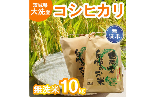 令和5年産 大洗産 コシヒカリ 無洗米 10kg (5kg×2袋） 新米 お米 茨城 こめ 米