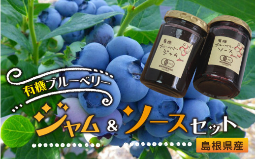 有機ブルーベリー ジャム ソースセット 島根県邑南町 ふるさと納税 ふるさとチョイス 有機ブルーベリー ジャム ソースセット 島根県邑南町 ふるさと納税 ふるさとチョイス
