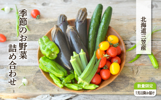 令和5年分》季節のお野菜詰め合わせ 夏（7月～8月）【01017】 - 北海道