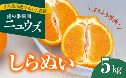 【先行予約受付中】産地直送！愛媛県産しらぬい（不知火） 5kg※2024年2月中旬～3月下旬頃に順次発送予定≪柑橘 みかん ギフト≫