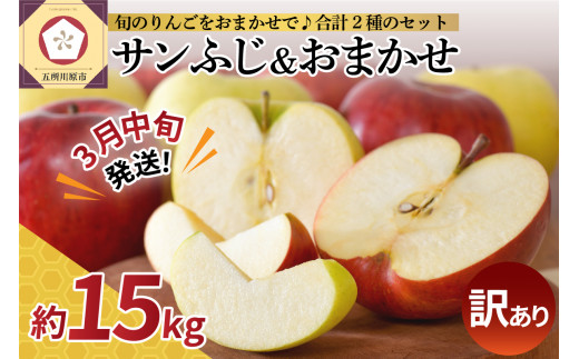 yX܏쌴szy2026N3{zy󂠂z  15kg lߍ킹 v2(Tӂ  1) s t[c ƒp