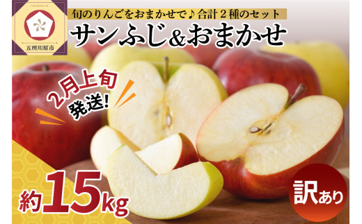 yX܏쌴szy2026N2{z y󂠂z  15kg lߍ킹 v2(Tӂ  1) s t[c ƒp