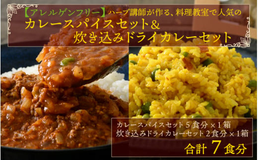 【先行予約】【アレルゲンフリー】ハーブ講師が作る 教室で人気のカレースパイスセット （5食分 × 1箱） & 炊込みドライカレー （2食分 ×  1箱）【2024年4月以降順次発送予定】 [A-13002]