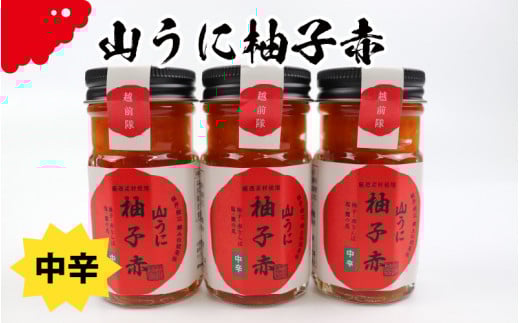 y䌧I]szI]̓`򖡁uRɁvMqԂR{Zbg @h@[A-01003a]