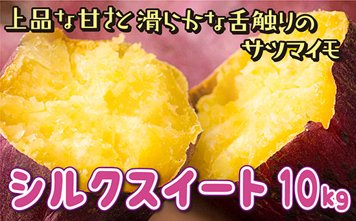 【千葉県酒々井町】J-5　上品な甘さと滑らかな舌触りのサツマイモ「シルクスイート」10kg