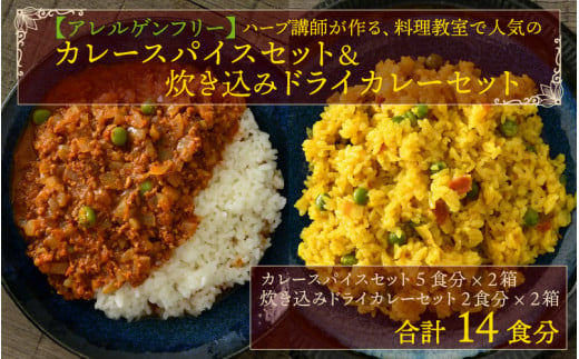 【先行予約】【アレルゲンフリー】ハーブ講師が作る 教室で人気のカレースパイスセット （5食分 × 2箱）& 炊込みドライカレー（2食分 ×  2箱）【2024年4月以降順次発送予定】 [A-13021]