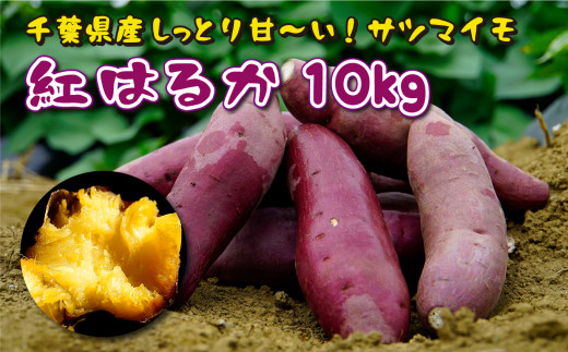 千葉県産 しっとり甘～い！サツマイモ「紅はるか」10kg