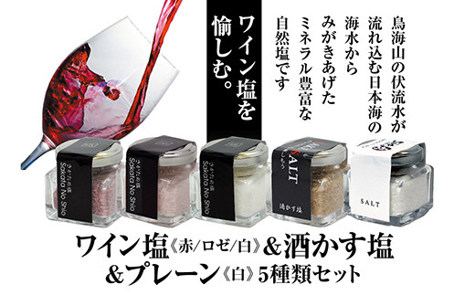 お洒落な角瓶入りの天然塩5種セット ワイン塩3種 酒かす塩 プレーン塩 F2y 2572 山形県 ふるさと納税 ふるさとチョイス