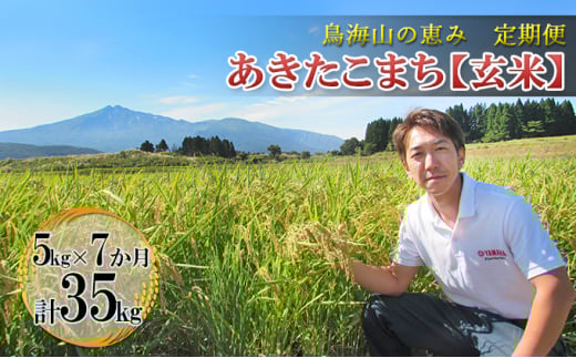 yHcɂَszV   yցz5kg×7 CŘb _ƒI ܂iāj 7J 7 TuXN