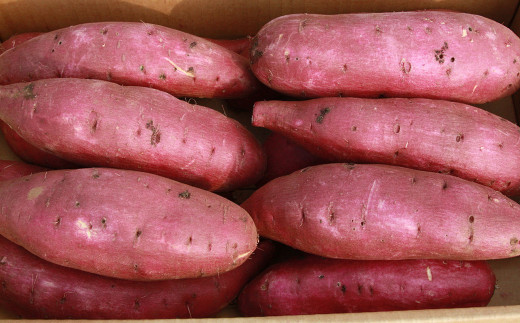 奥野農園 さつまいも シルクスイート ５kg 千葉県袖ケ浦市 ふるさと納税 ふるさとチョイス