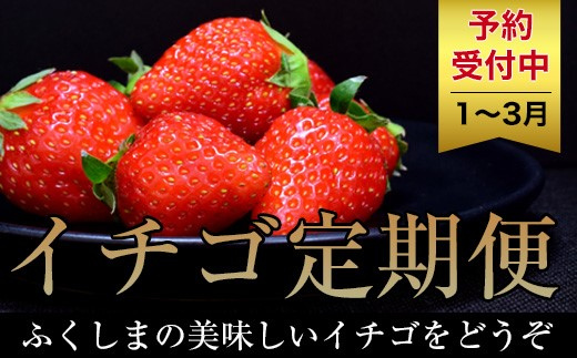 No.1435【先行予約】福島の朝摘みいちご とちおとめ4P【全3回】【2024