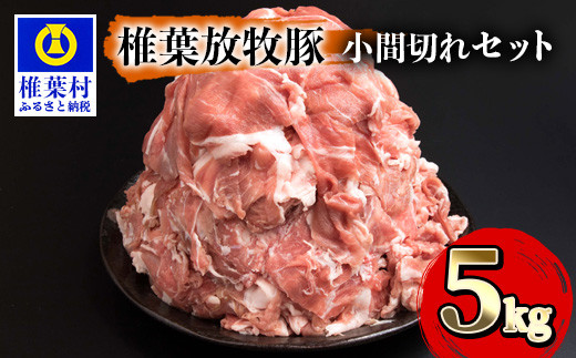 椎葉放牧豚 こま切れ【合計10Kg】【用途は無限大】【世界を翔ける