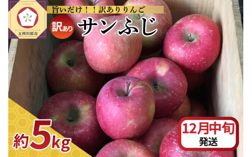 【青森県五所川原市】【2025年12月中旬発送】 【訳あり】 りんご サンふじ 5kg 青森