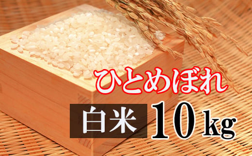 ひとめぼれ】 精米 30kg （10kg×3袋） ／ 新米 白米 産地直送 【かきの