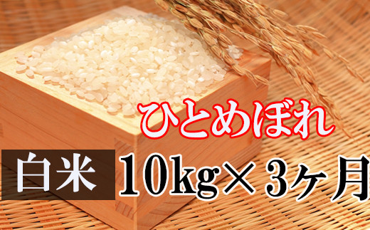 ひとめぼれ】 精米 30kg （10kg×3袋） ／ 新米 白米 産地直送 【かきの