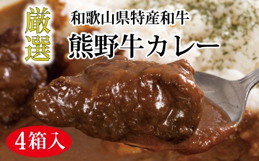 【和歌山県新宮市】特選黒毛和牛 熊野牛カレー 4箱【mtf102】