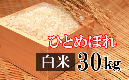 令和２年産】精米済 お米 ひとめぼれ 30kg - 米/穀物